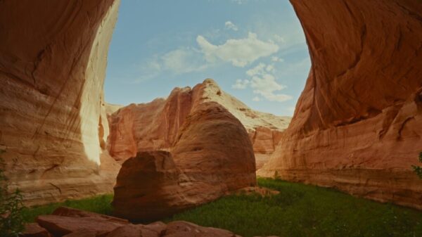 WTRK_STILL_2 - The Team